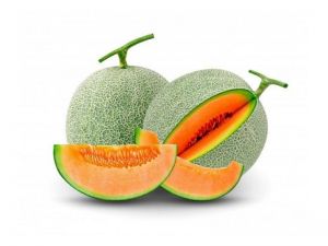 DƯA LƯỚI VIETGAP